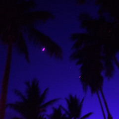 moonlight (prod. yxngxs)
