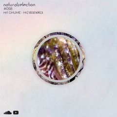 Episodio 58 - Natural Selection With Isadora