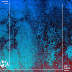 Biodiversity (Gabriel D'Or & Bordoy Remix)