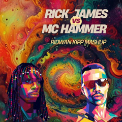 MC HAMMER x RICK JAMES - CANT TOUCH THIS SUPER FREAK (RIDWAN KIPP MASHUP)