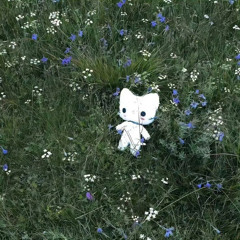 losing passion [asi]