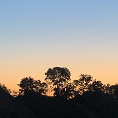 heylog - walls