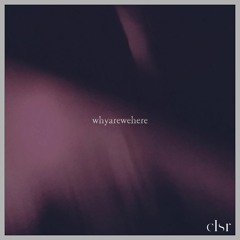 whyarewehere