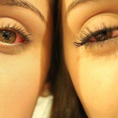 beinhighwityu4evr