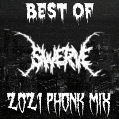 BEST OF $WERVE 2021 - PHONK MIX