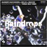 Sander van Doorn x Selva x Macon - Raindrops (feat. Chacel) [Thomas Beat Remix]