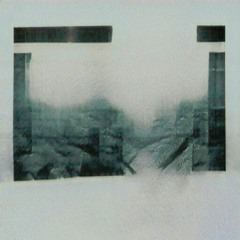 Boson Spin - Reflection