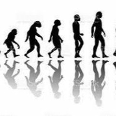 Evolution
