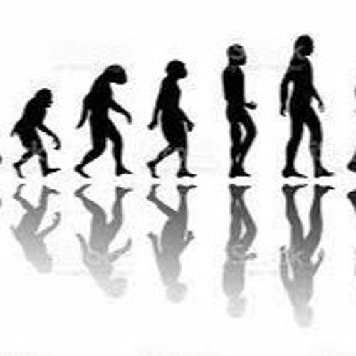 Evolution