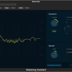 Mastering Asst Exp- unmastered Wav
