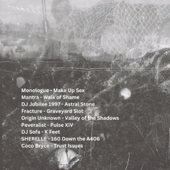 DDR - Jungle on the radio - January 2025