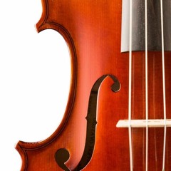 Biografia Sonora: Gustavo Hoffmann, luthier