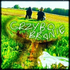 Twardzioszki 🍄 (prod. xonthebeat)