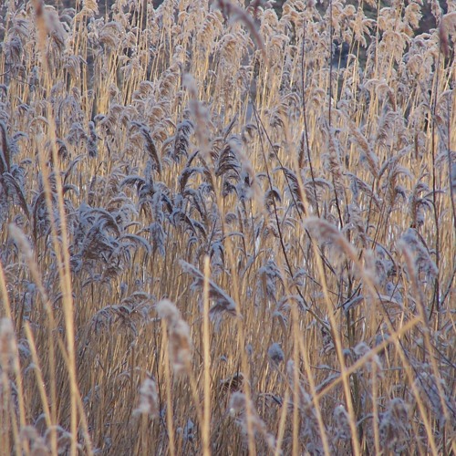 2023 - 02 - 25 last Space