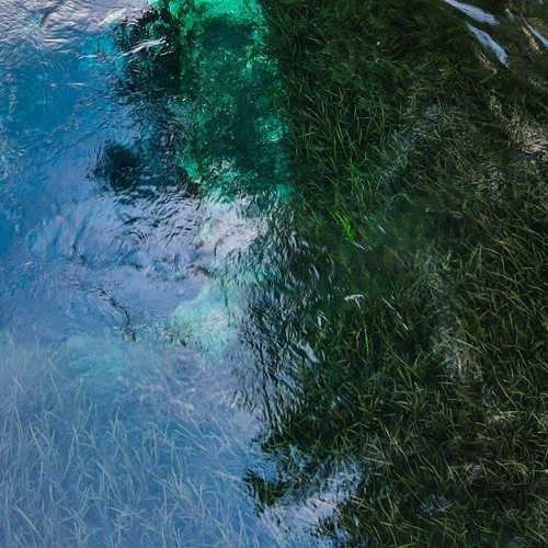Snorkelling