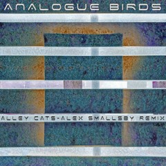 Analogue Birds - Azimut - Alley Cats Alex Smallsby Remix