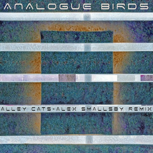 Analogue Birds - Azimut - Alley Cats Alex Smallsby Remix