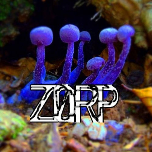 Z0RP - Shroomin'