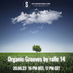 Organic Grooves by ralle 14, 20.06.23