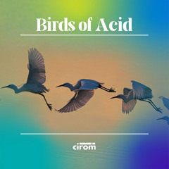 Birds of Acid