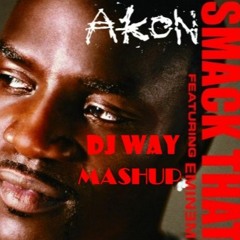 SMACK THAT - AKON X EMINEM ( DJ WAY MASHUP )