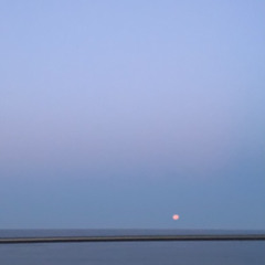 No Love- Allen Halloween