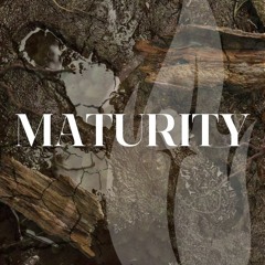 Maturity | Take Him at His Word | Pastor Tim Escamilla | 5.28.23