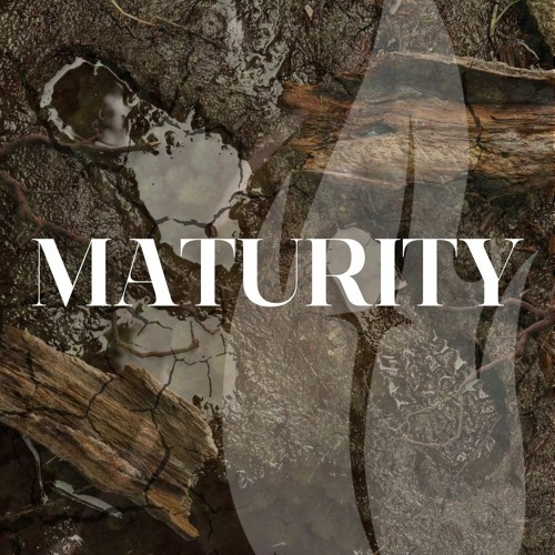 Maturity | Discernment (Part 2) | Darren Patterson | 6.4.23