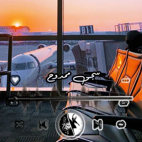 تعليق صوتي _ صالة المطار