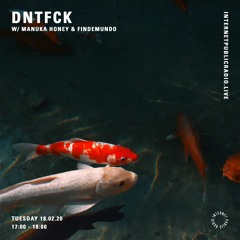 DNTFCK on Internet Public Radio - Manuka Honey & Findemundo