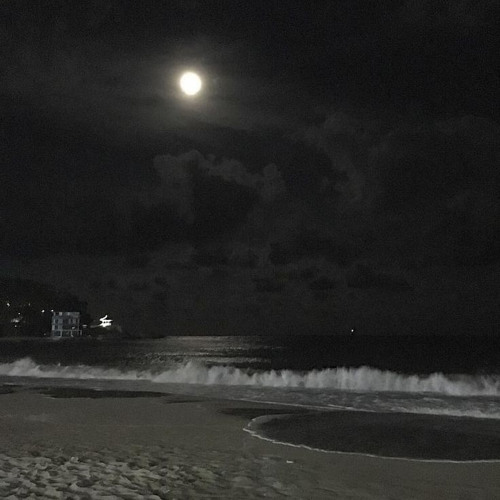 i watch the moon.