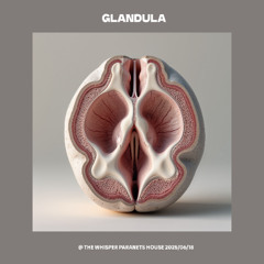 Glandula @ The Whisper Paranets House