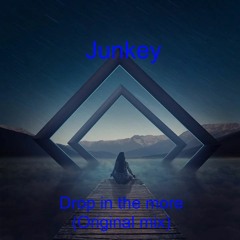 Junkey - Drop It The More (Original Mix)