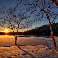 #9 Aligning with the Seasons