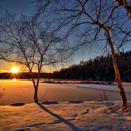 #9 Aligning with the Seasons