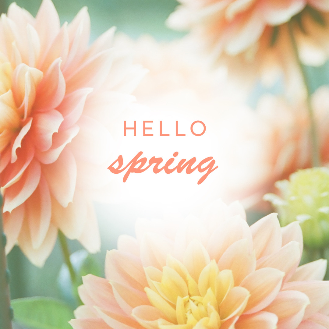 Stream Relax Cafe Music Bgm Listen To Jazz Relaxing Music Spring