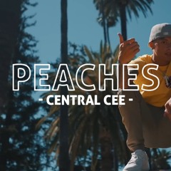 Central Cee - Peaches REMIX (prod by jango040)