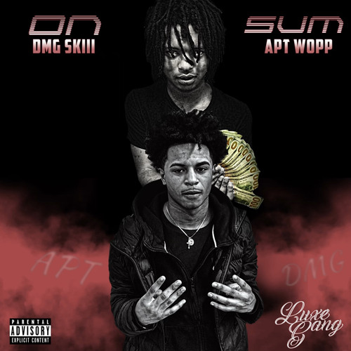 DmG Skii ft Apt Wop  - On Sum