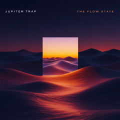 The Flow State