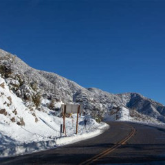 Best Things To Do In Los Angeles Winter Tours Reviews