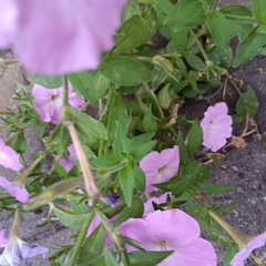 Remix_99_( NinetyFu.k!.gNine ).m4a