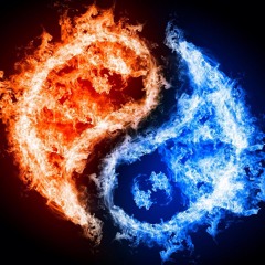 BEE MUSIC- #003 YIN&YANG 2