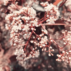 radio 2019 - 24.04.2025