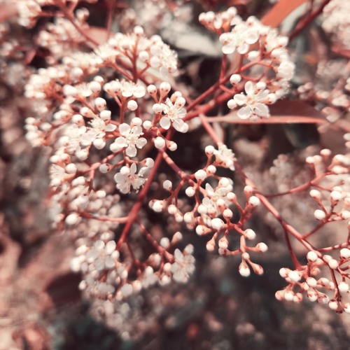 radio 2019 - 24.04.2025