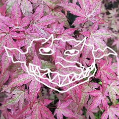 txtend0 _\I/_ = $$$ 0-o