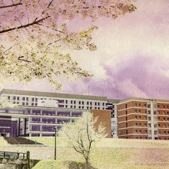 大学行きたくない(Laser gun)