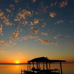 I anticipated the dawn