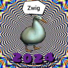 Zwig 2024 recap