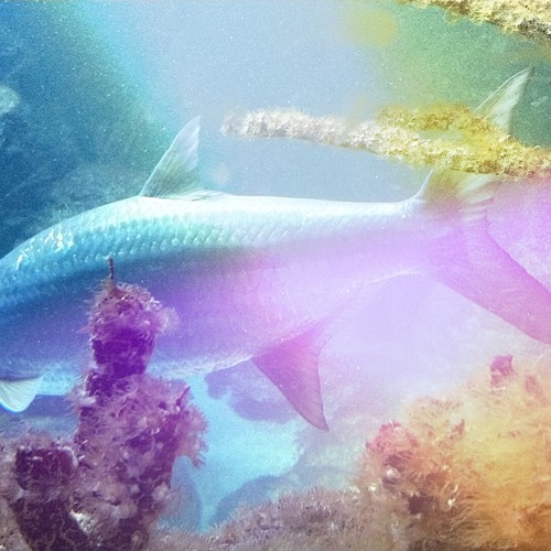 Project - I´m_A_genius_