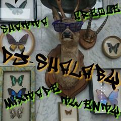 MIXTAPE 20 DJ SHALABY